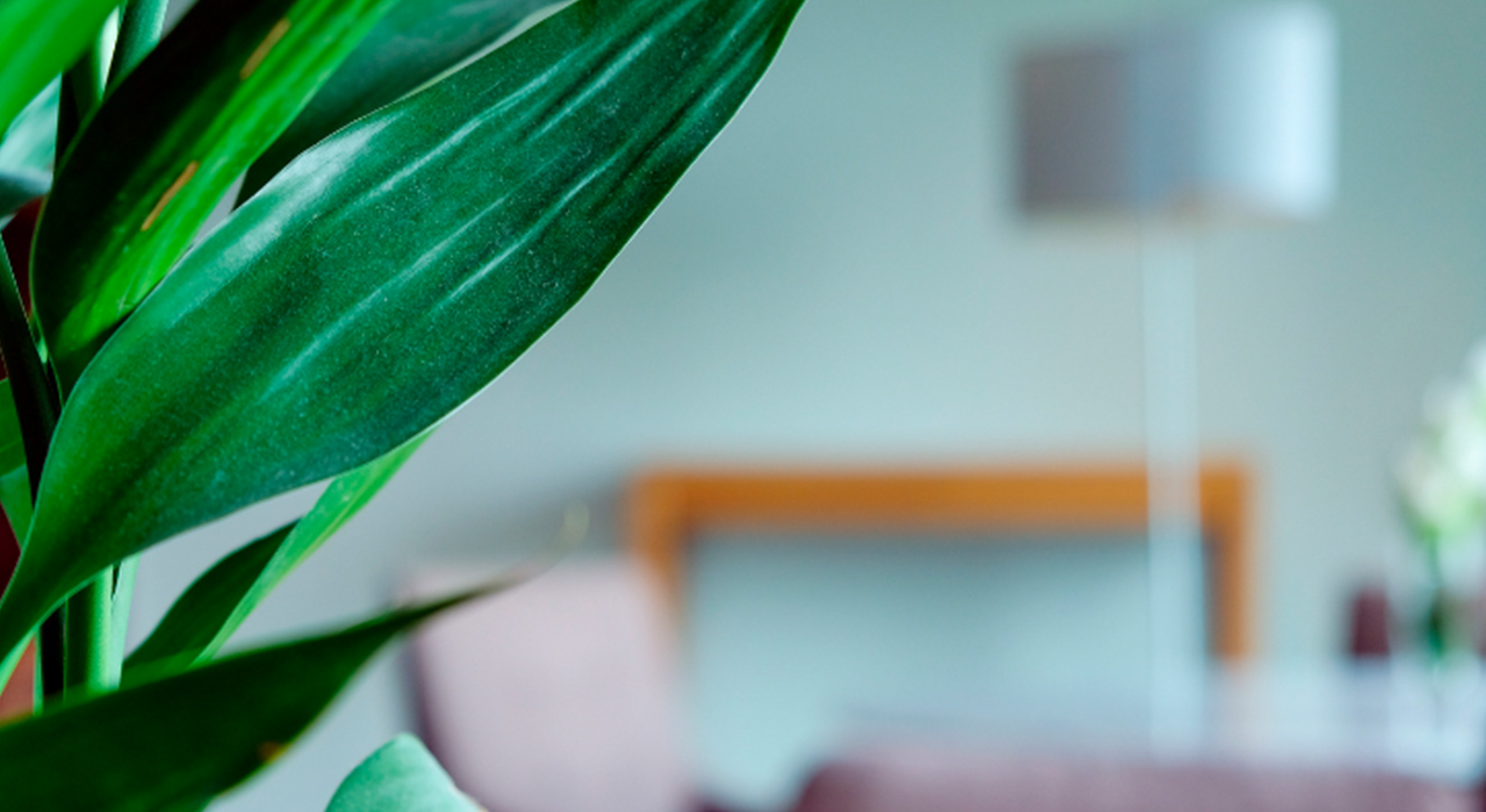 paisagismo em ambientes internos