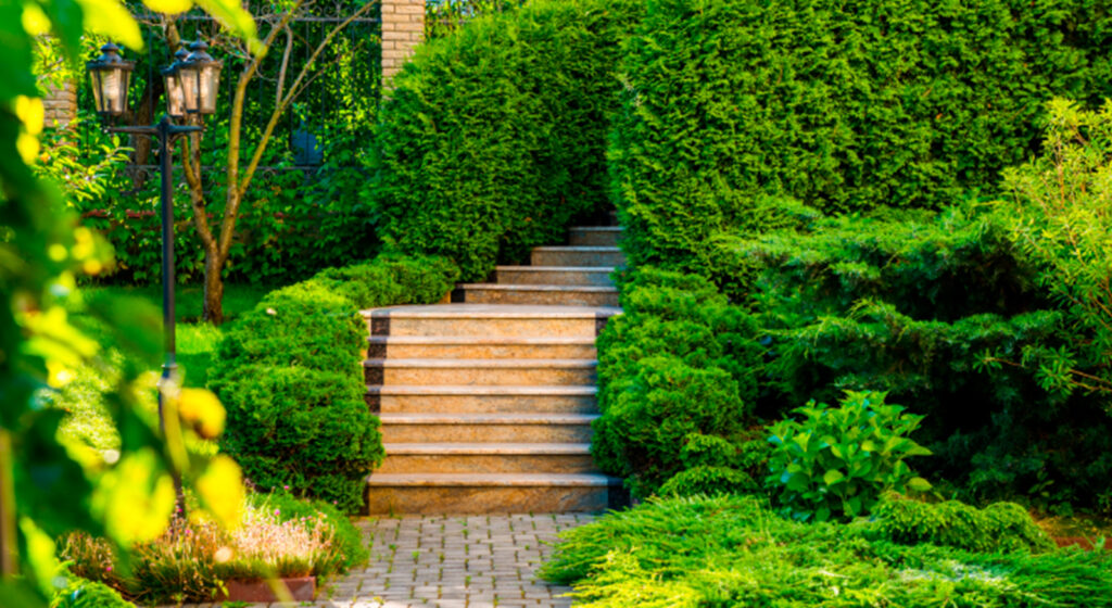 quando contratar um paisagista