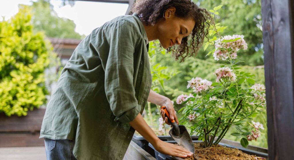 simplificar a manutenção do seu jardim