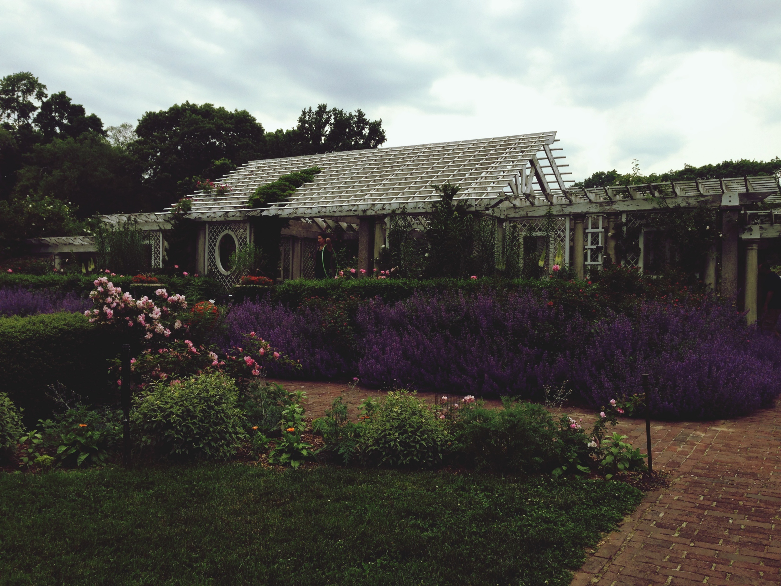 cottage garden toke verde