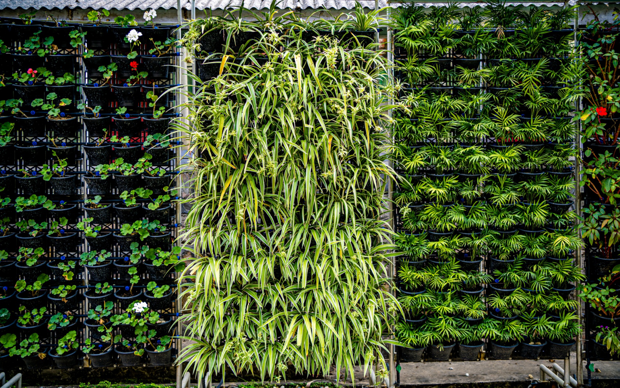 jardins verticais contemporâneos toke verde